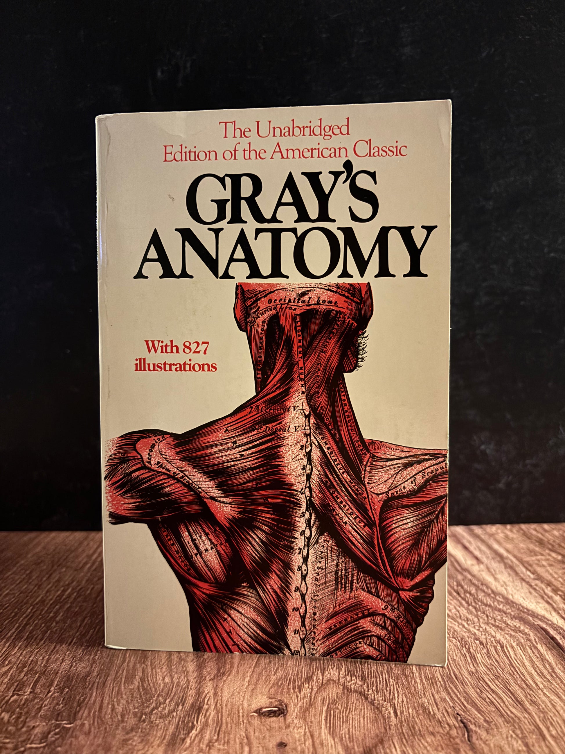 "Gray's Anatomy" by Henry Gray (Preowned Paperback)