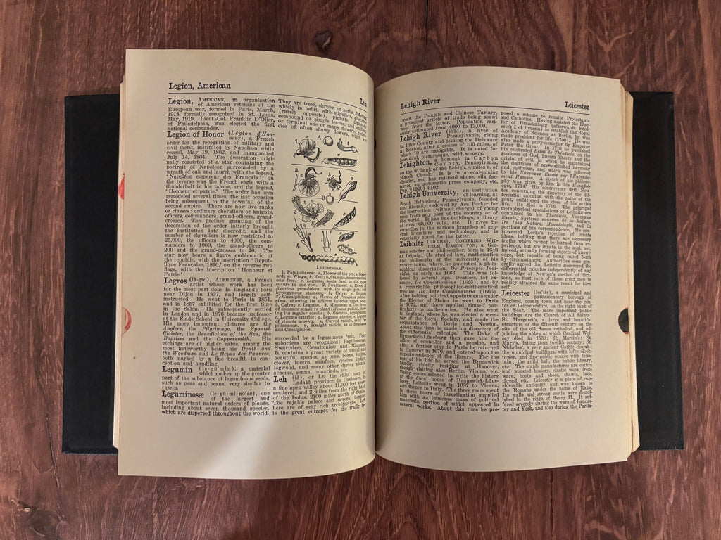 "Winston's Cumulative Loose Leaf Encyclopedia Vol. VI" Edited by Thomas E. Finegan (Antique Hardcover)