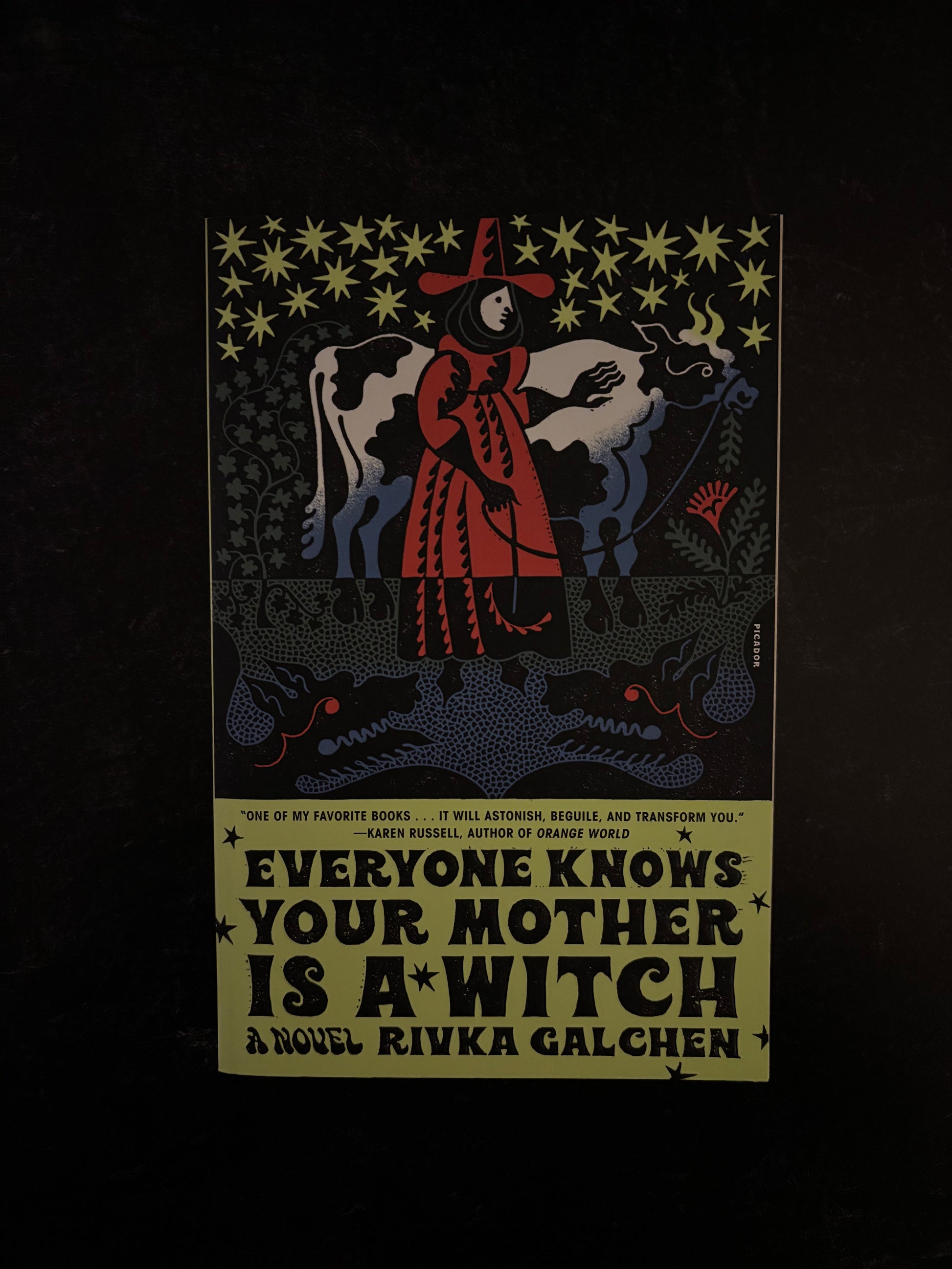 "Everyone Knows Your Mother Is A Witch" by Rivka Calchen (Preowned Paperback)
