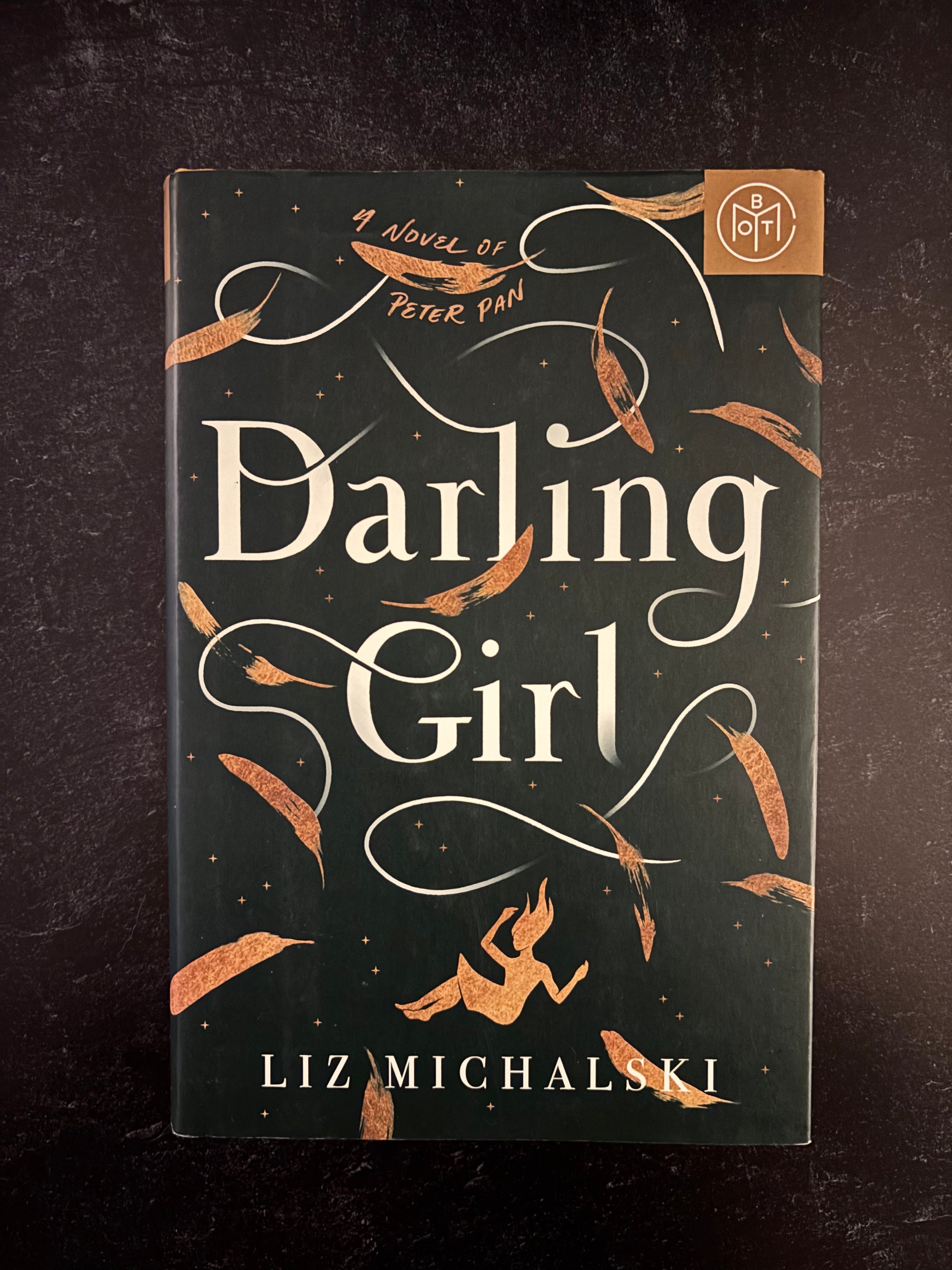 "Darling Girl" by Liz Michalski (Preowned Hardcover)