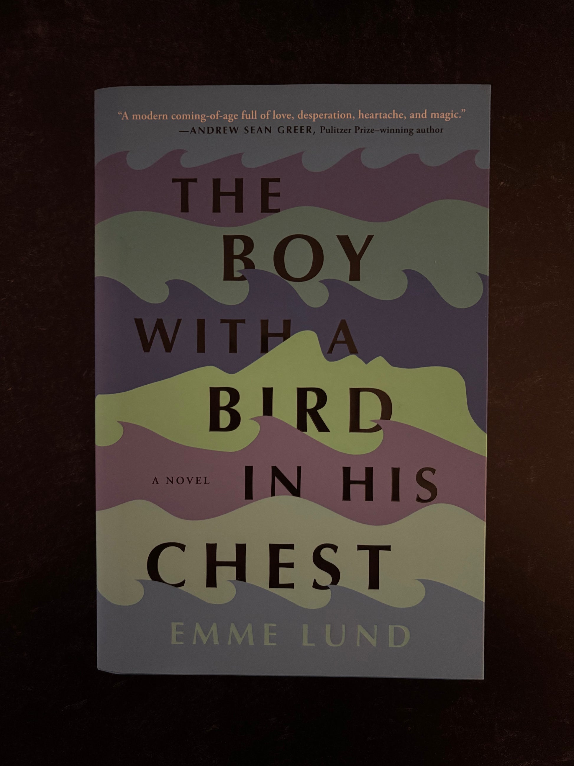 "The Boy With A Bird In His Chest" by Emme Lund (Preowned Hardcover)