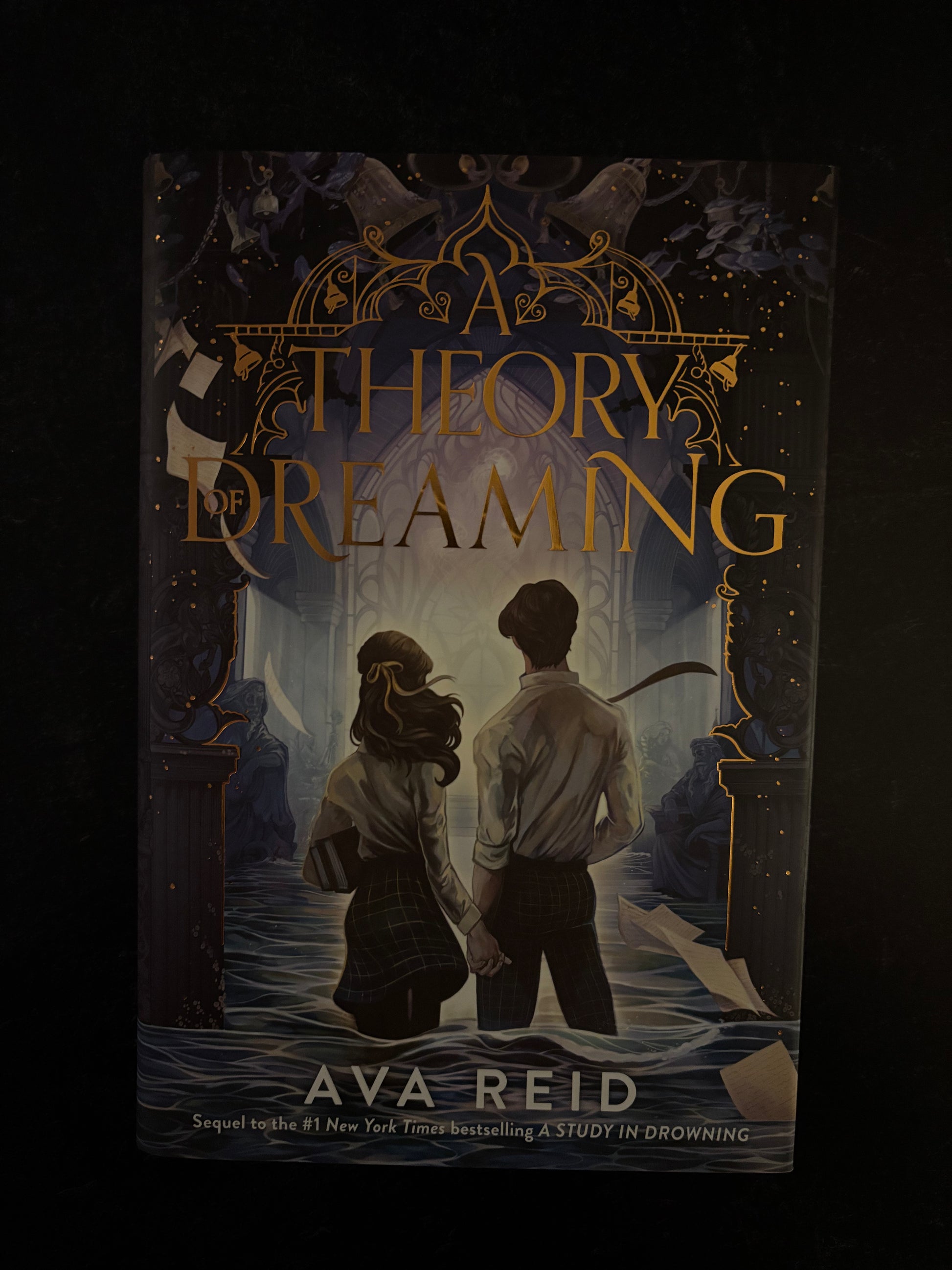 "A Theory of Dreaming" by Ava Reid (Preowned Hardcover)