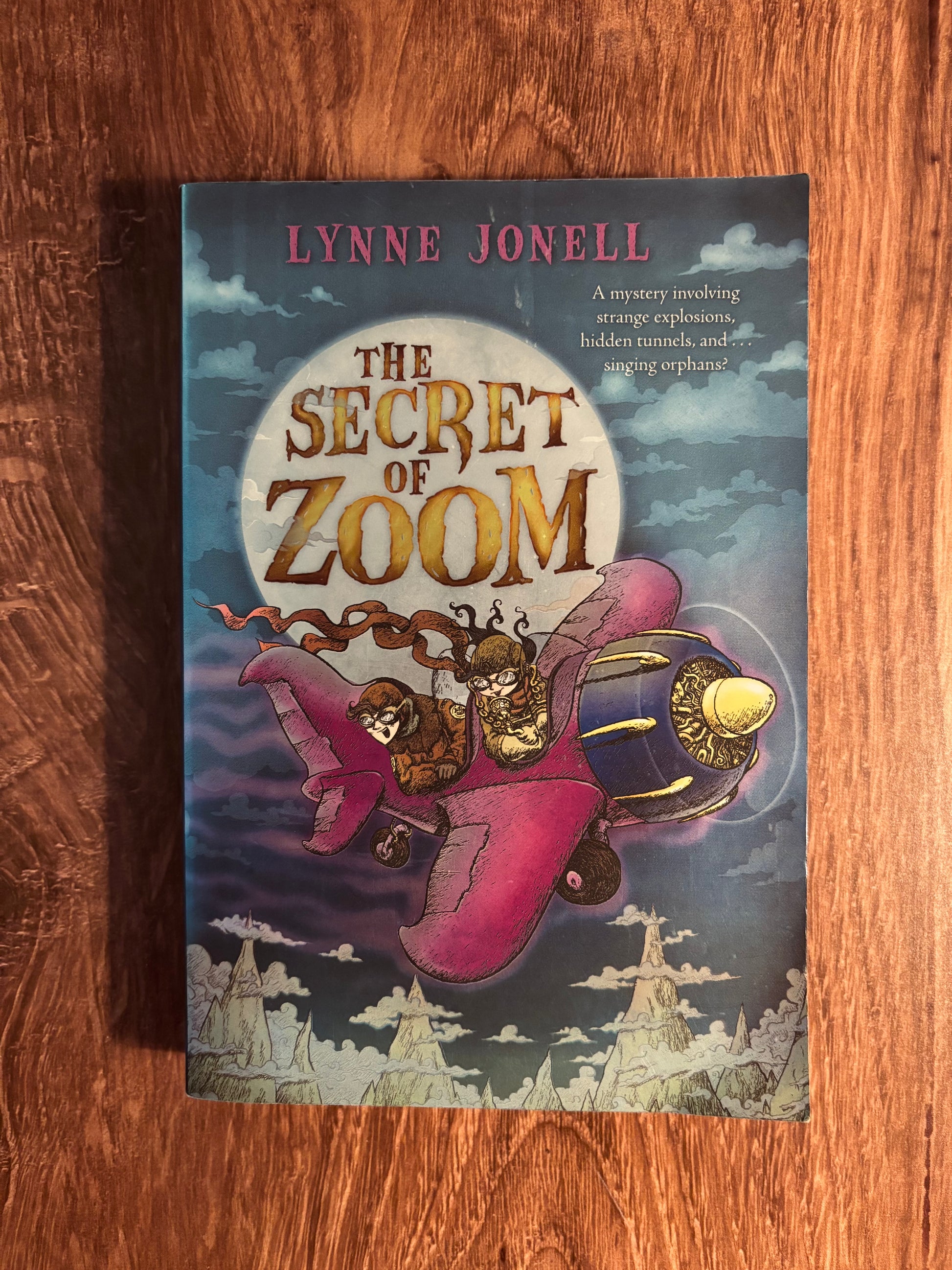 "The Secret of Zoom" by Lynne Jonell (Preowned Paperback)